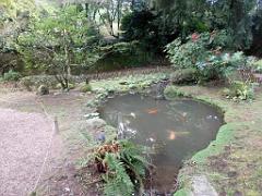149 PARC ORIENTAL DE MAULEVIER MAINE ET LOIRE 2016 N1_000008